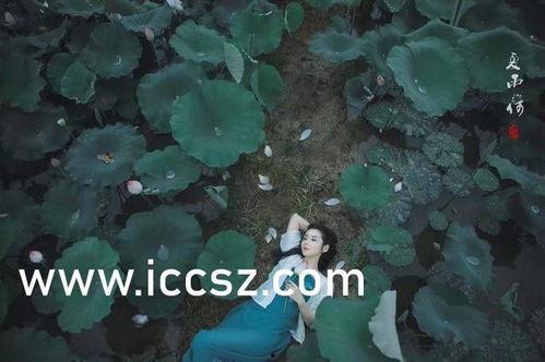 泰国性痴迷,痴迷背后的社会与文化解读