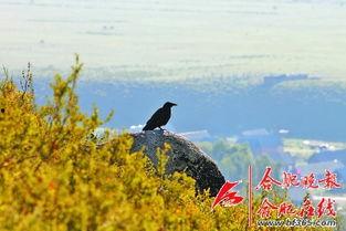 望穿秋水,探寻无尽思念的深情之旅